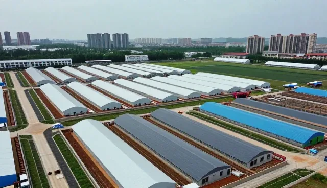 管网施工中现场协同机制的实践与优化
